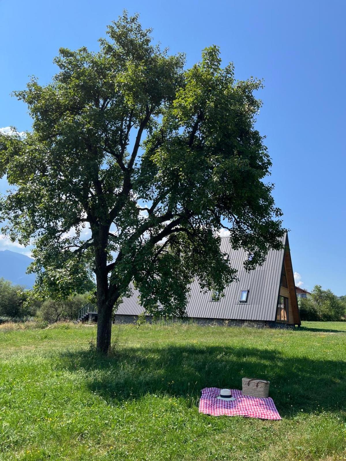 Vino Chalets Bran Sohodol  Kültér fotó